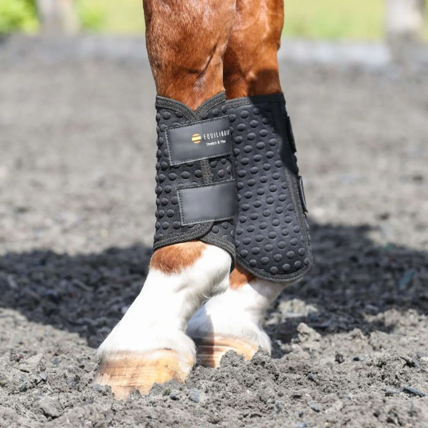 Equilibrium Beenbeschermers Stretch & Flex Flatwork Zwart