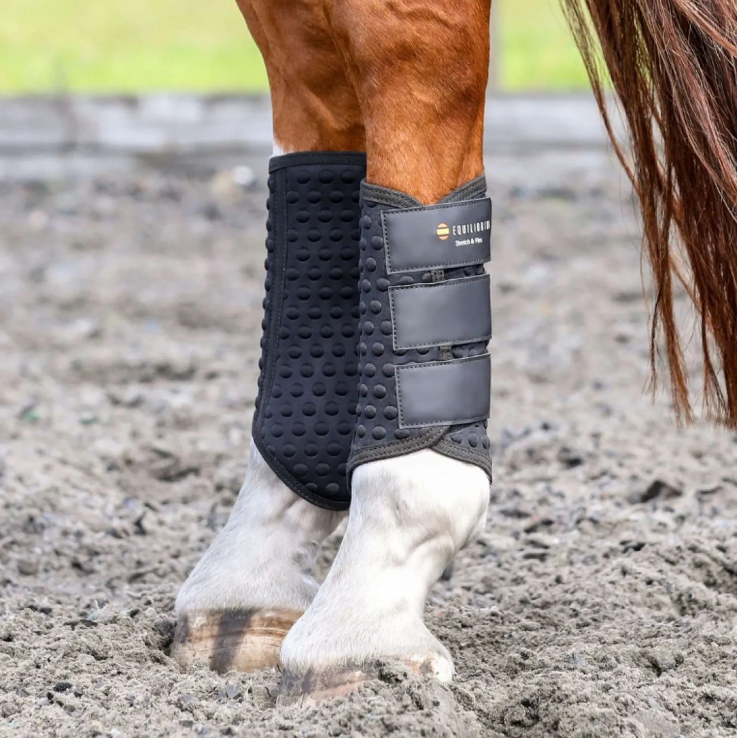 Equilibrium Beenbeschermers Stretch & Flex Flatwork Zwart