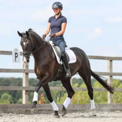 Equilibrium Beenbeschermers Stretch & Flex Flatwork Wit