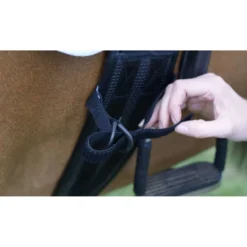 Equilibrium Legstraps Symmetry
