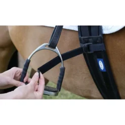 Equilibrium Legstraps Symmetry