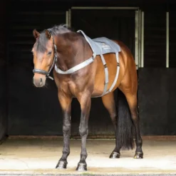 Equilibrium Massage Pad Grijs