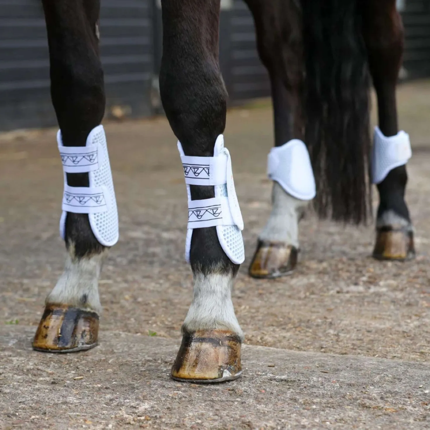 Equilibrium Peesbeschermers Tri-zone Wit