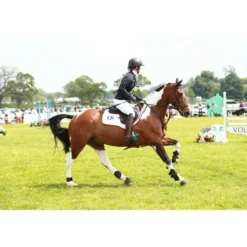Equilibrium Peesbeschermers Tri-zone Zwart