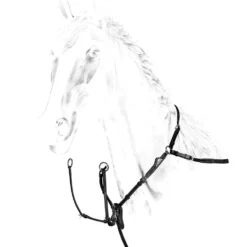 Equiline Borsttuig Zwart