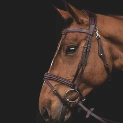 Equiline Hoofdstel JP Anatomisch Light Bruin