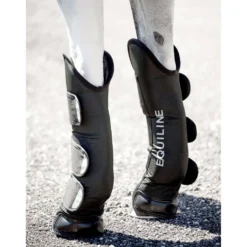 Equiline Transportbeschermers Rex Zwart