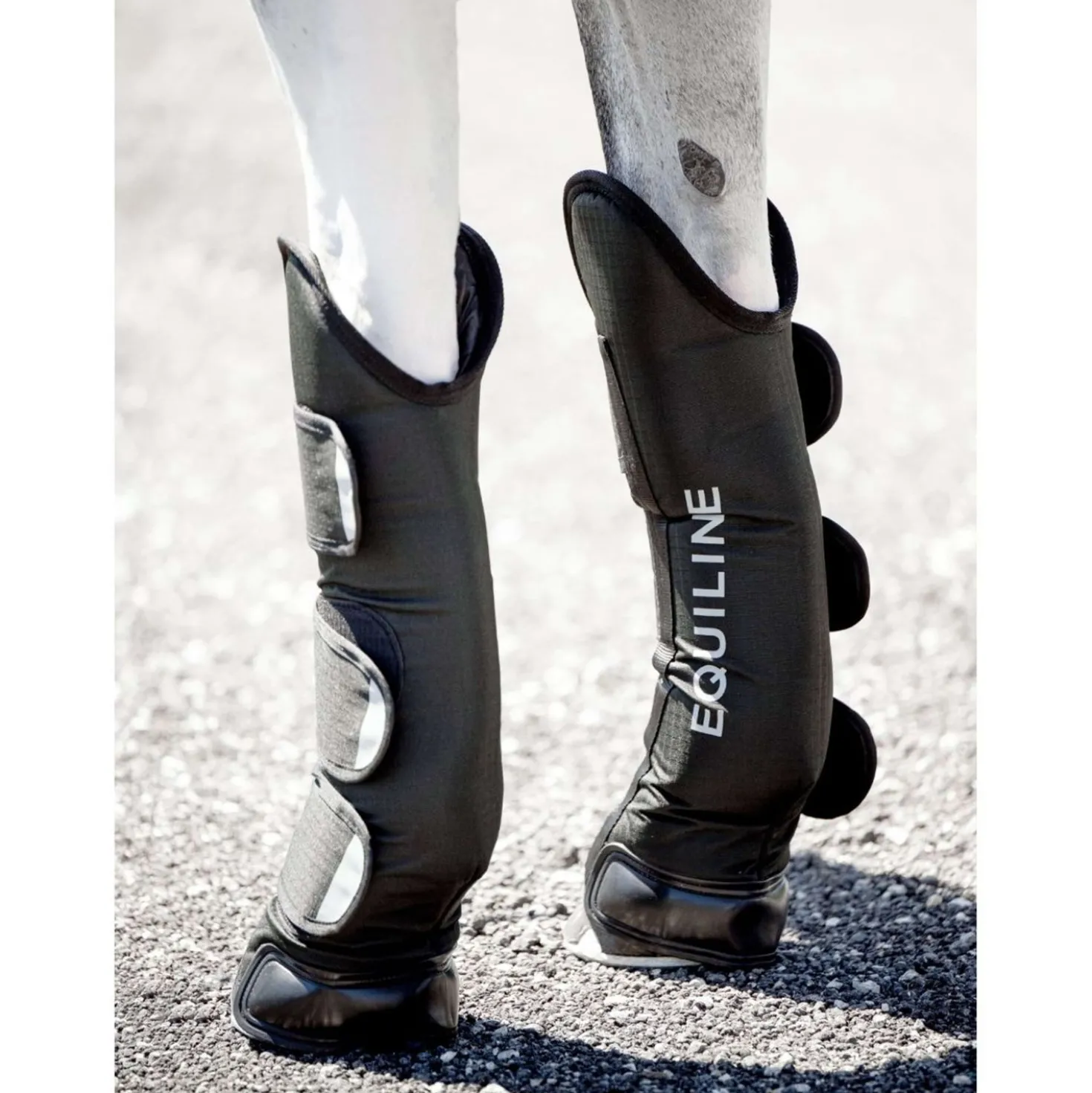 Equiline Transportbeschermers Rex Zwart