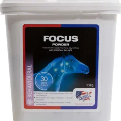 Equine America Focus