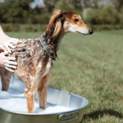 Equine America Shampoo Oat-So-Soothing