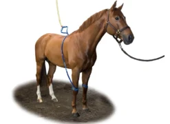 Equine Legcooler Base Plus Type 2 voor 2 Benen