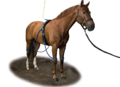 Equine Legcooler Compleet Type 1 voor 4 Benen
