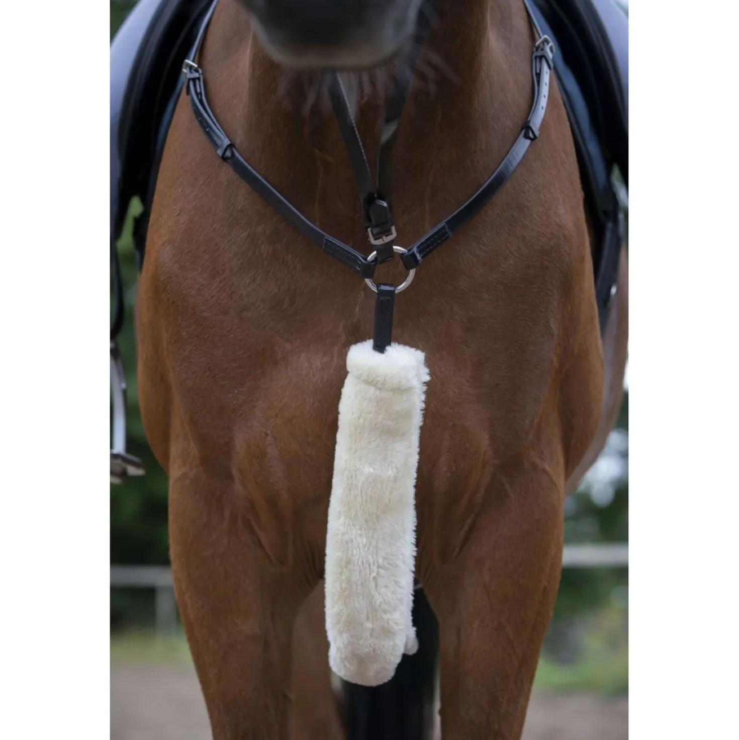 EQUITHÈME Borsttuigbontje Teddy Ecru
