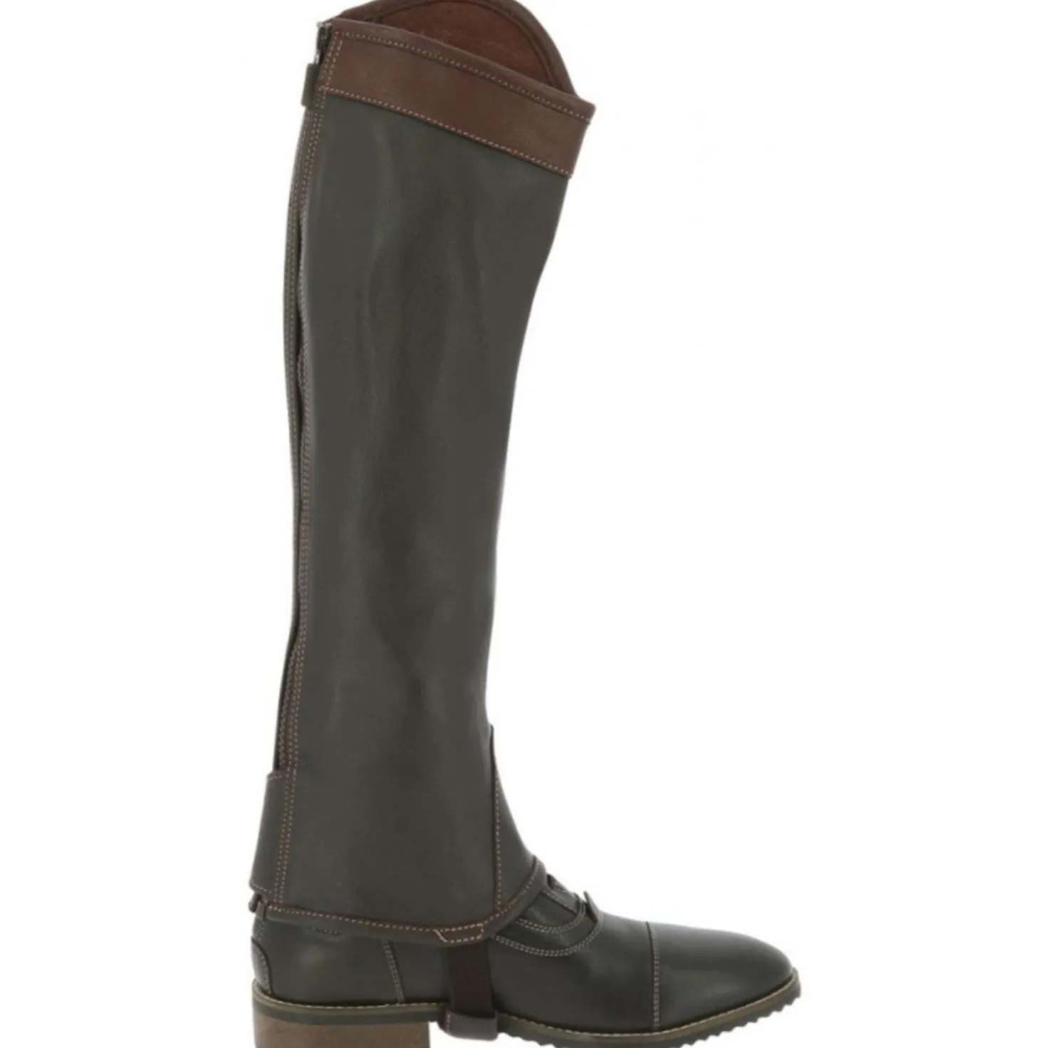 EQUITHÈME Chaps Elite Bruin