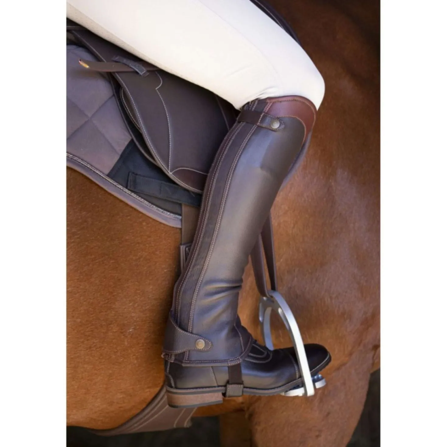 EQUITHÈME Chaps Elite Bruin