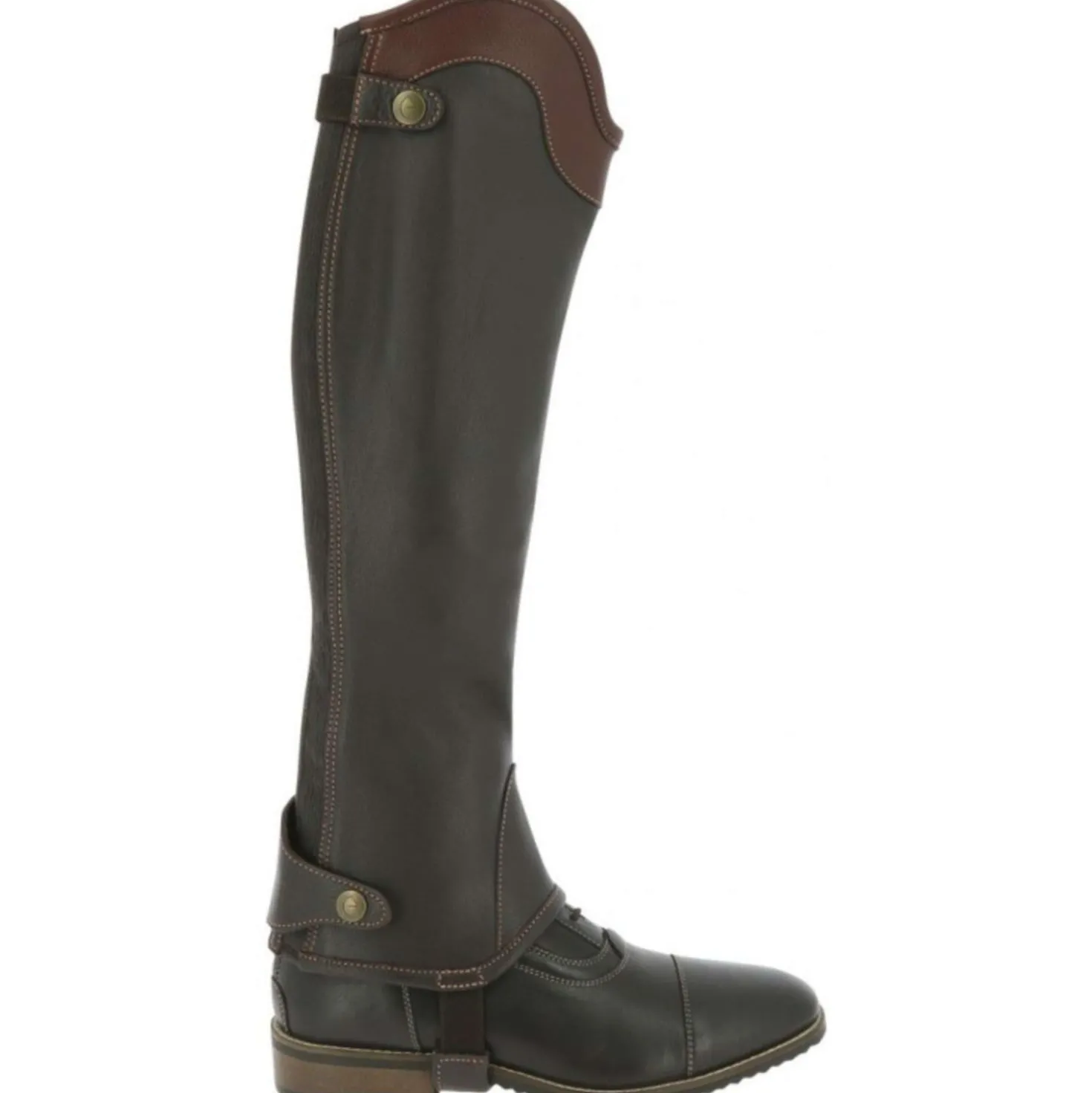 EQUITHÈME Chaps Elite Bruin