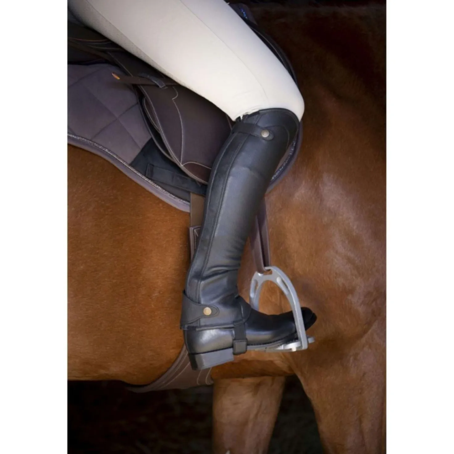 EQUITHÈME Chaps Elite Zwart