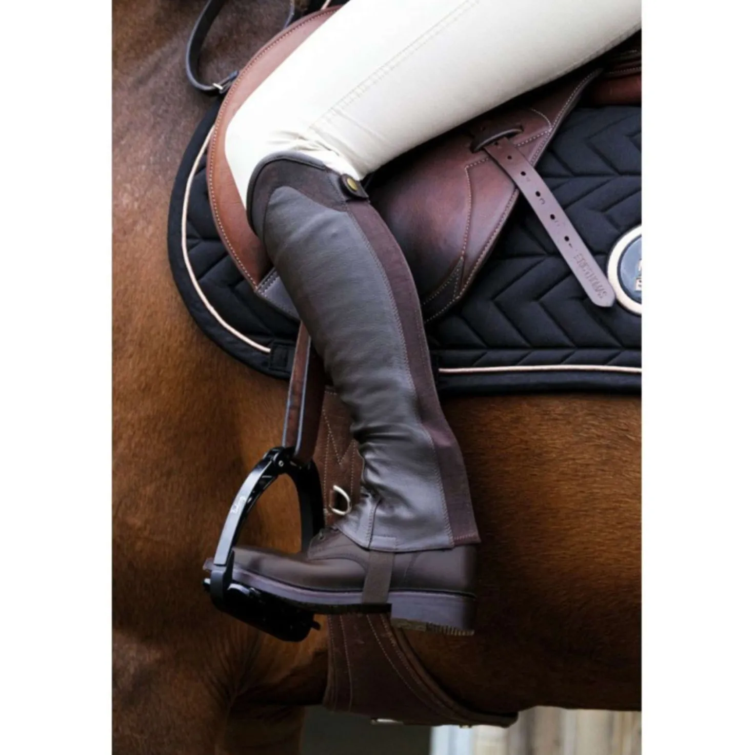 EQUITHÈME Chaps Sparkly Bruin