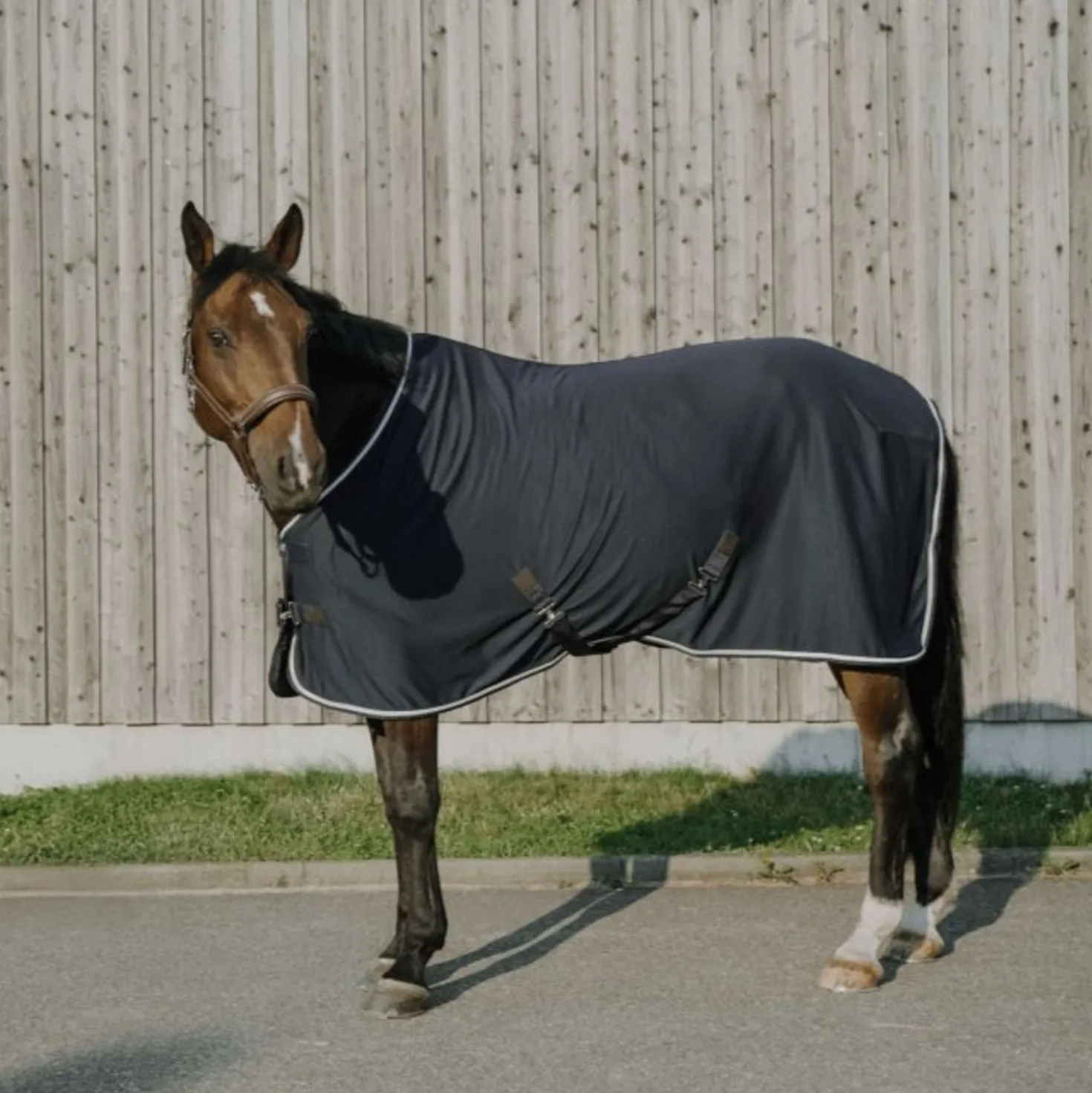 EQUITHÈME Cooler Deken Drycool Standard Navy blue