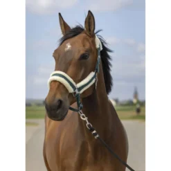 EQUITHÈME Halster Mouton Nylon Groen/Wit