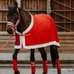 EQUITHÈME Halster Set Kerst Rood