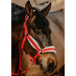 EQUITHÈME Halster Set Kerst Rood