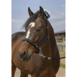 EQUITHÈME Halster Strass Nylon Zwart