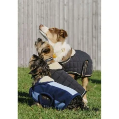 EQUITHÈME Hondendeken New Market Navy