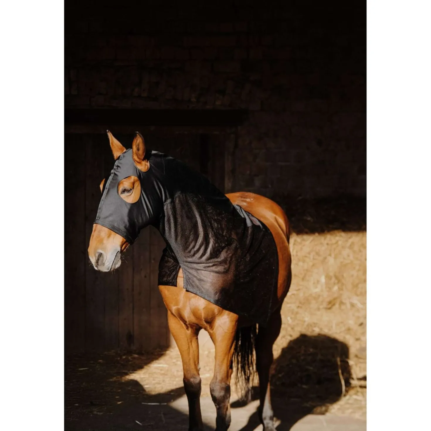 EQUITHÈME Nek Beschermer Lycra/Mesh Zwart
