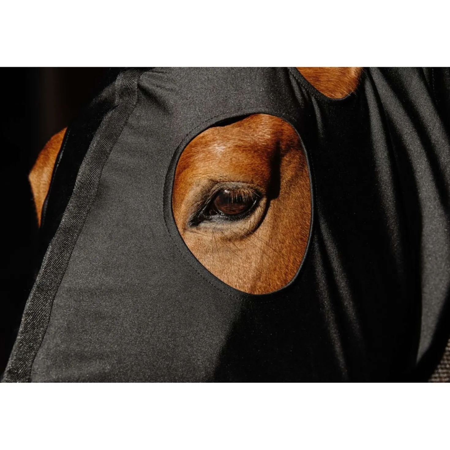 EQUITHÈME Nek Beschermer Lycra/Mesh Zwart