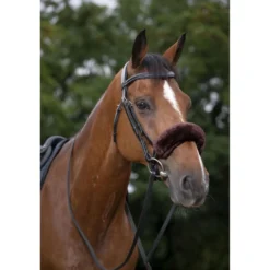 EQUITHÈME Neusbontje Teddy Bruin