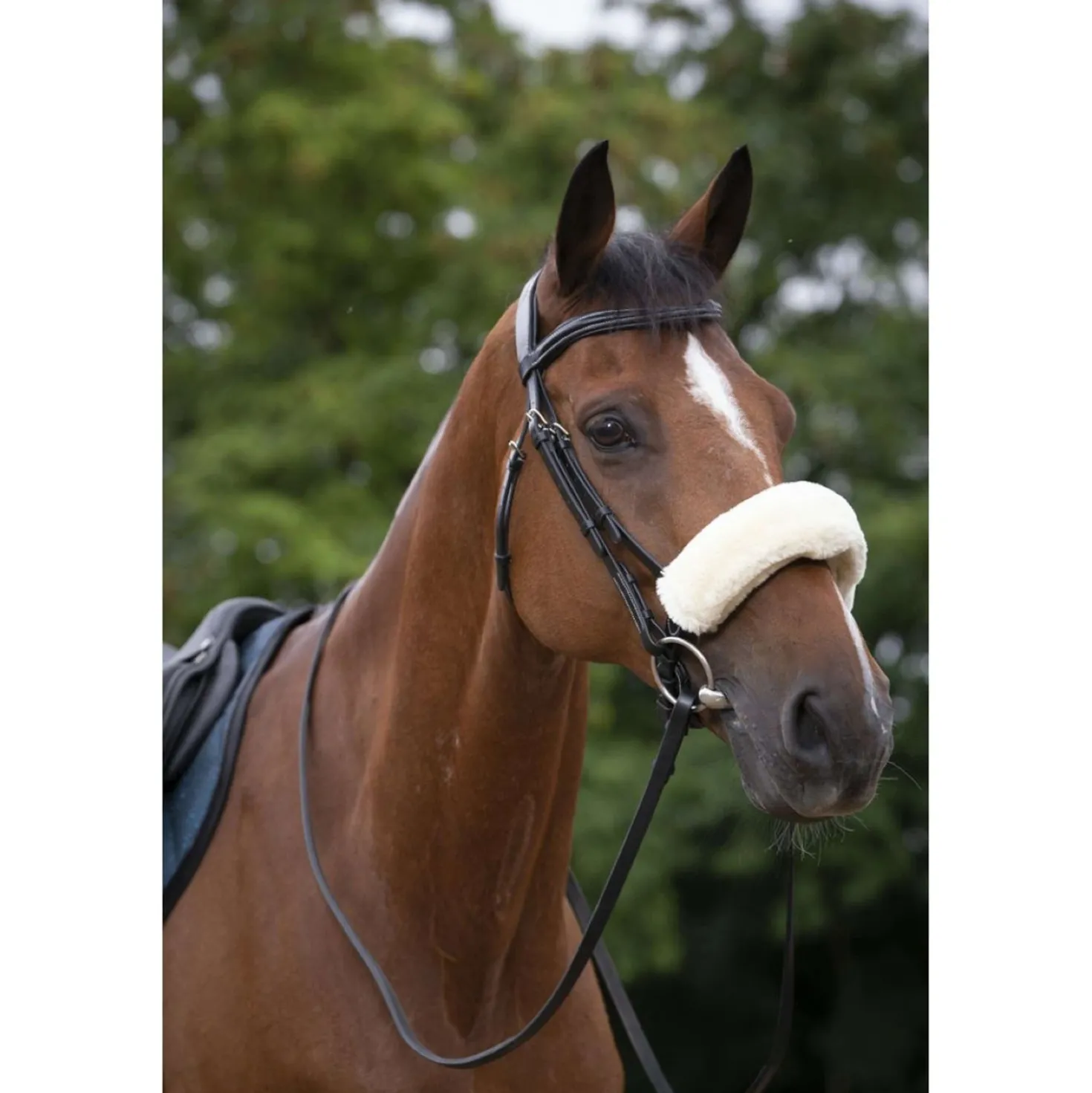 EQUITHÈME Neusbontje Teddy Ecru