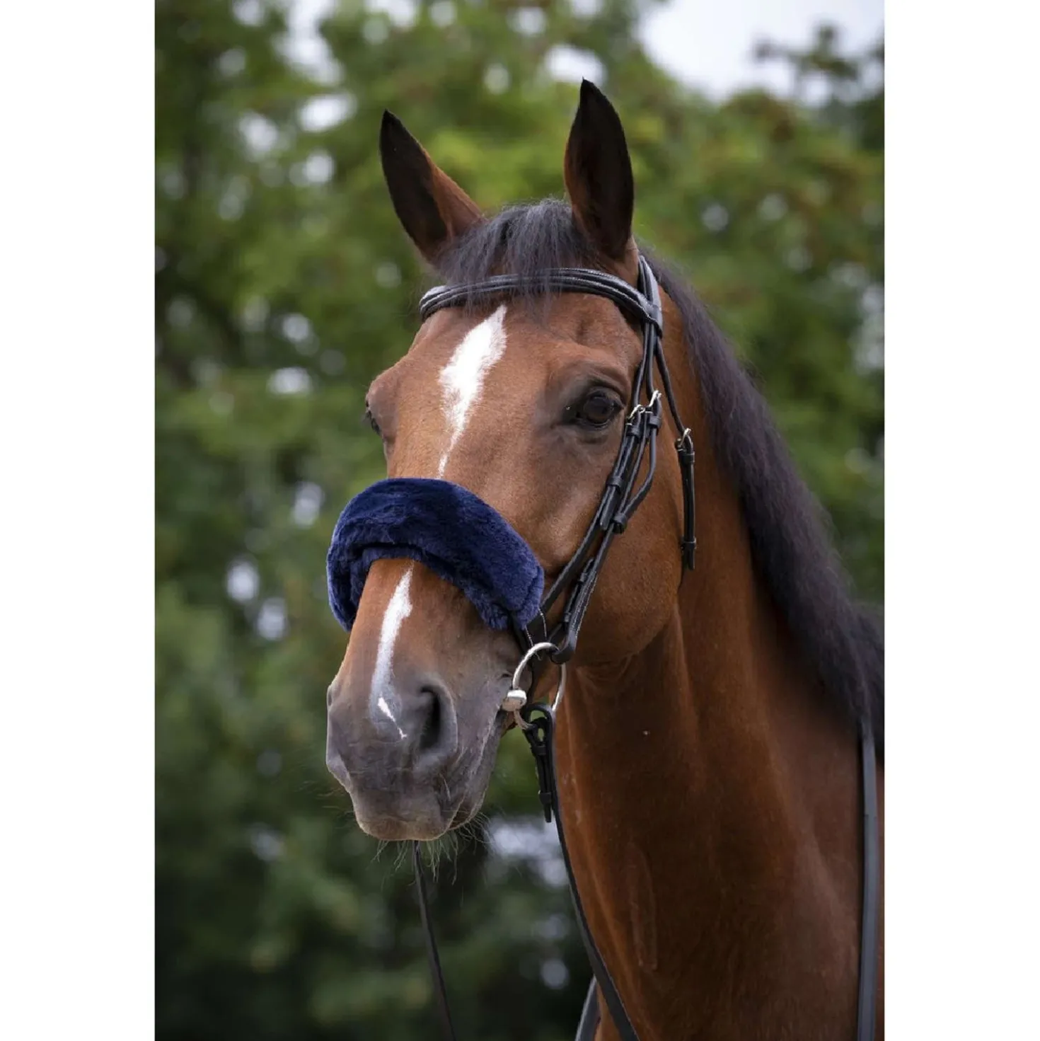 EQUITHÈME Neusbontje Teddy Navy
