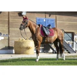 EQUITHÈME Oornetje Polyfun Bordeaux/Taupe