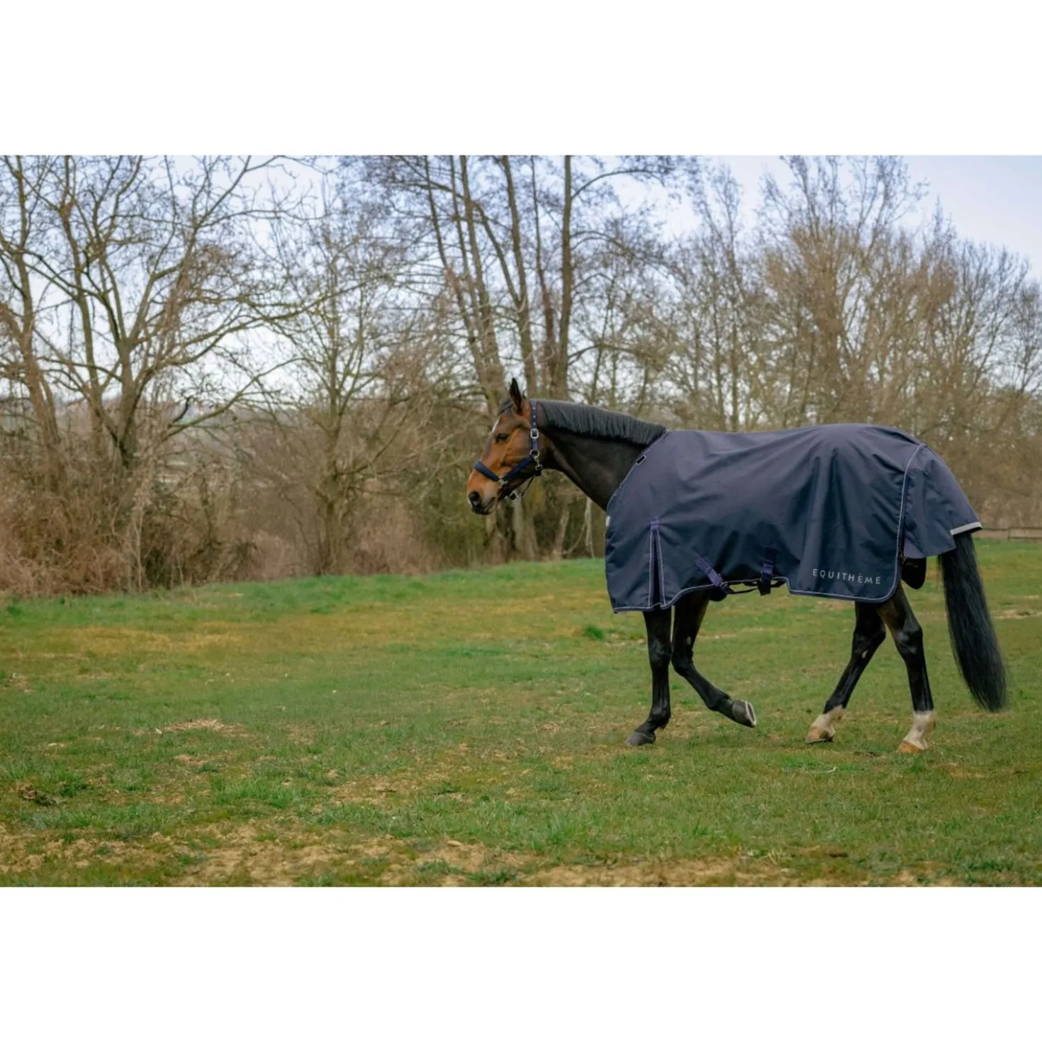 EQUITHÈME Outdoordeken Anatomic 1200D 200g Navy