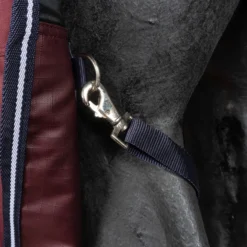 EQUITHÈME Outdoordeken Tyrex 1200D 0g High Neck Burgundy