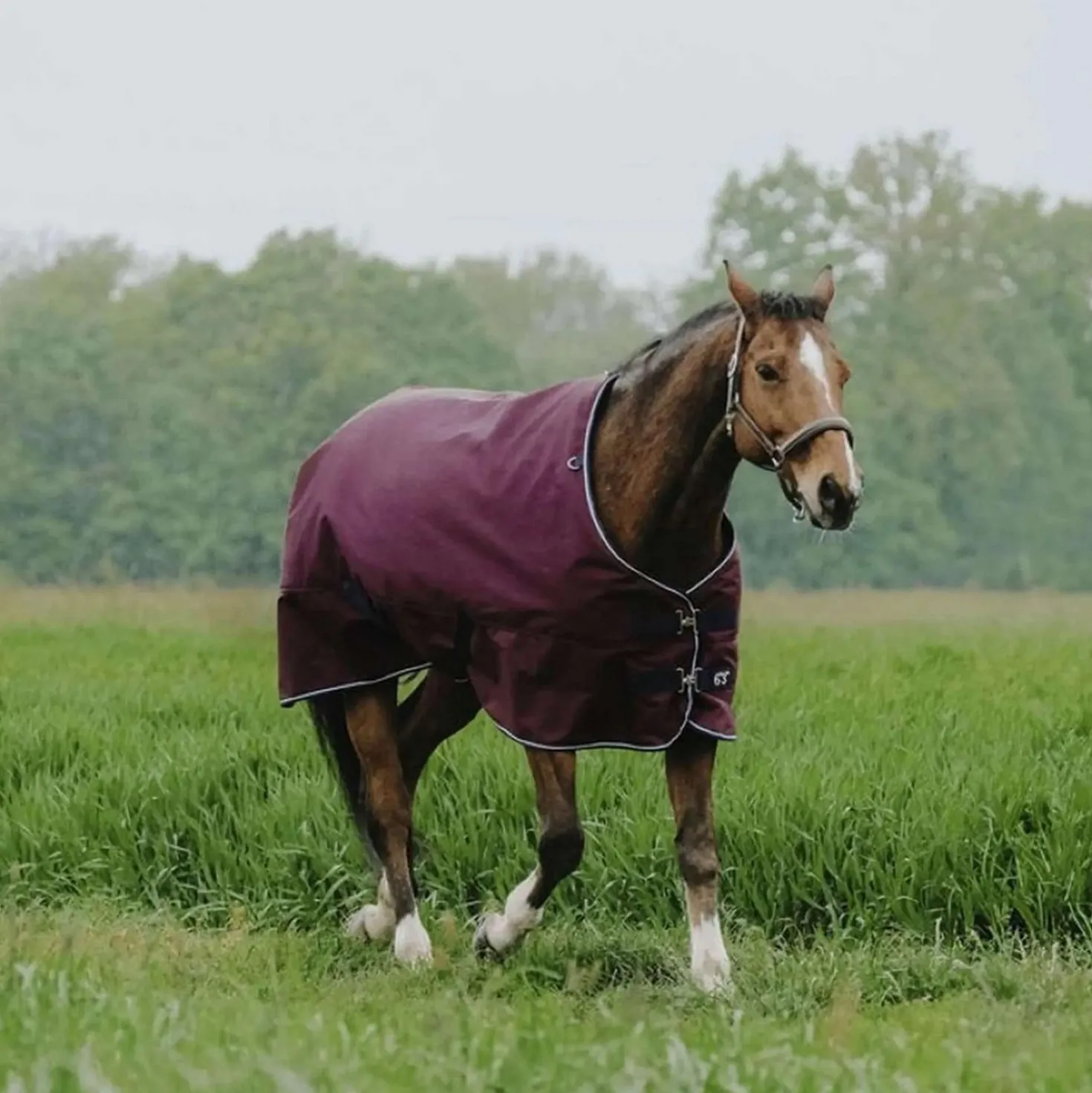 EQUITHÈME Outdoordeken Tyrex 1200D 300g Standard Burgundy