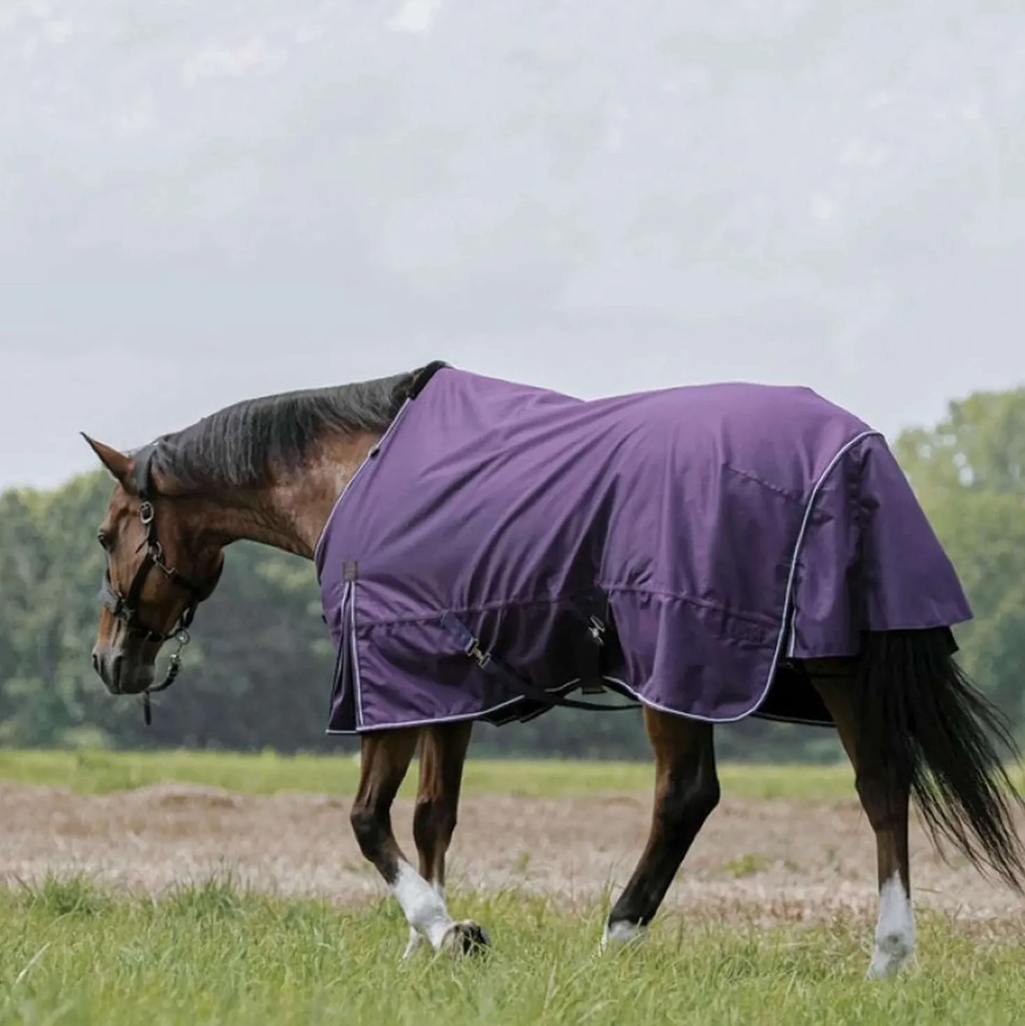 EQUITHÈME Outdoordeken Tyrex Aisance 600D 150g