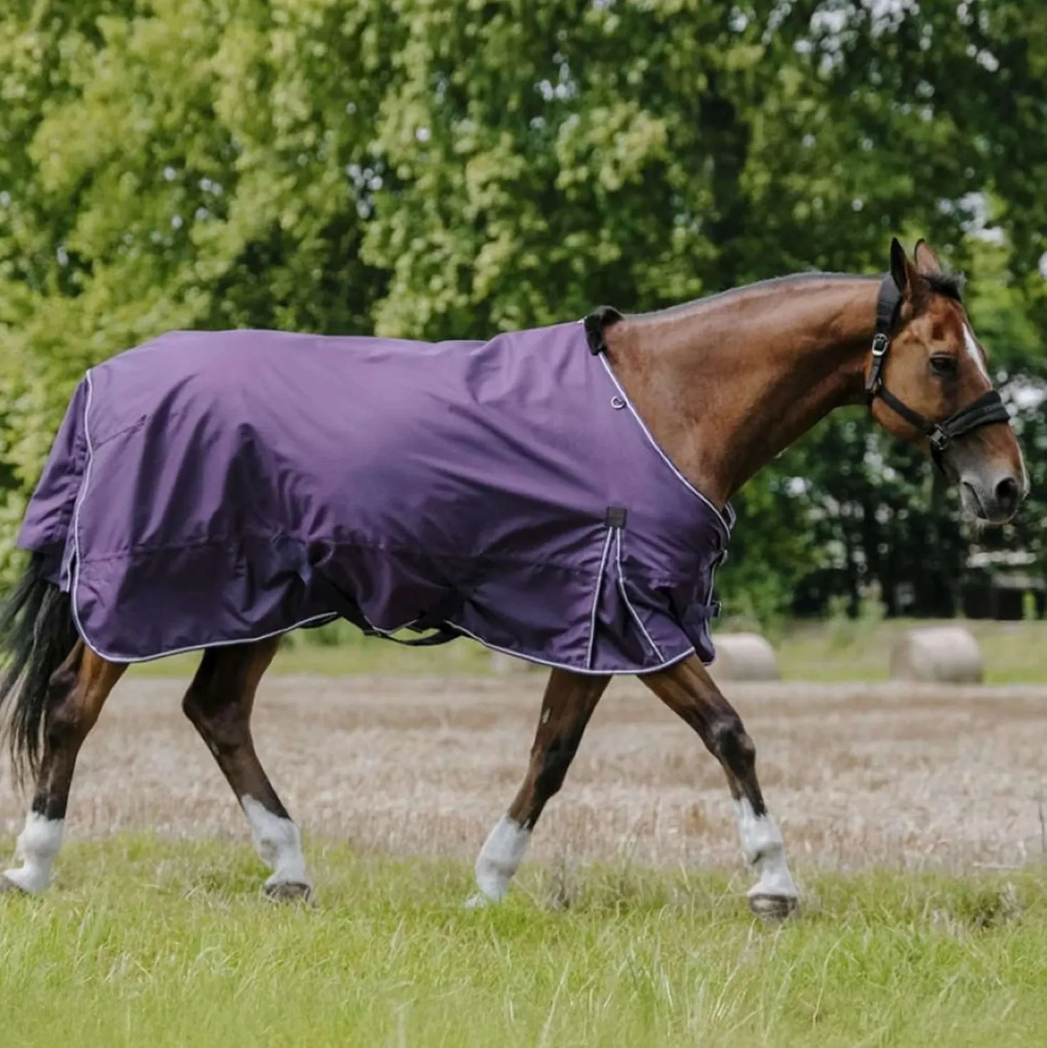 EQUITHÈME Outdoordeken Tyrex Aisance 600D 150g