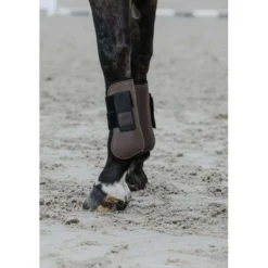 EQUITHÈME Peesbeschermers Bruin