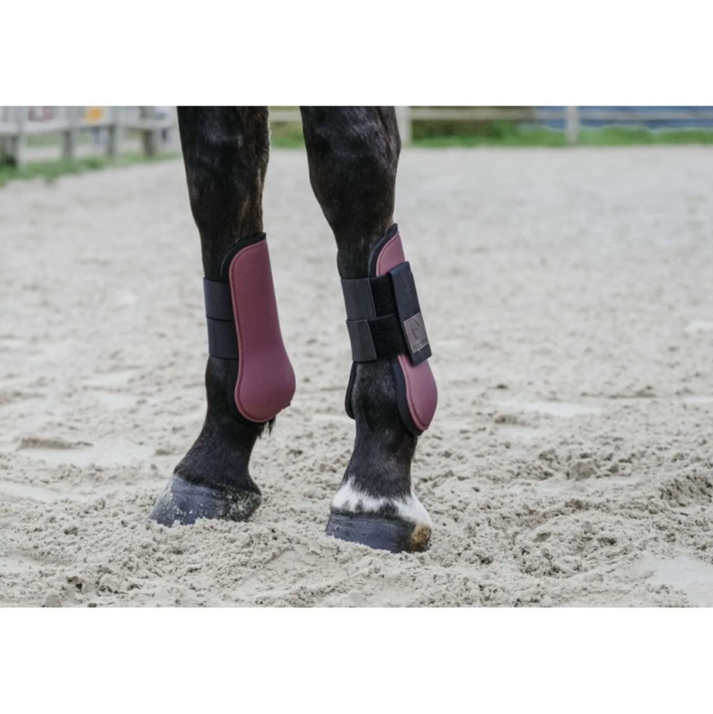 EQUITHÈME Peesbeschermers Burgundy