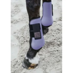 EQUITHÈME Peesbeschermers Lila