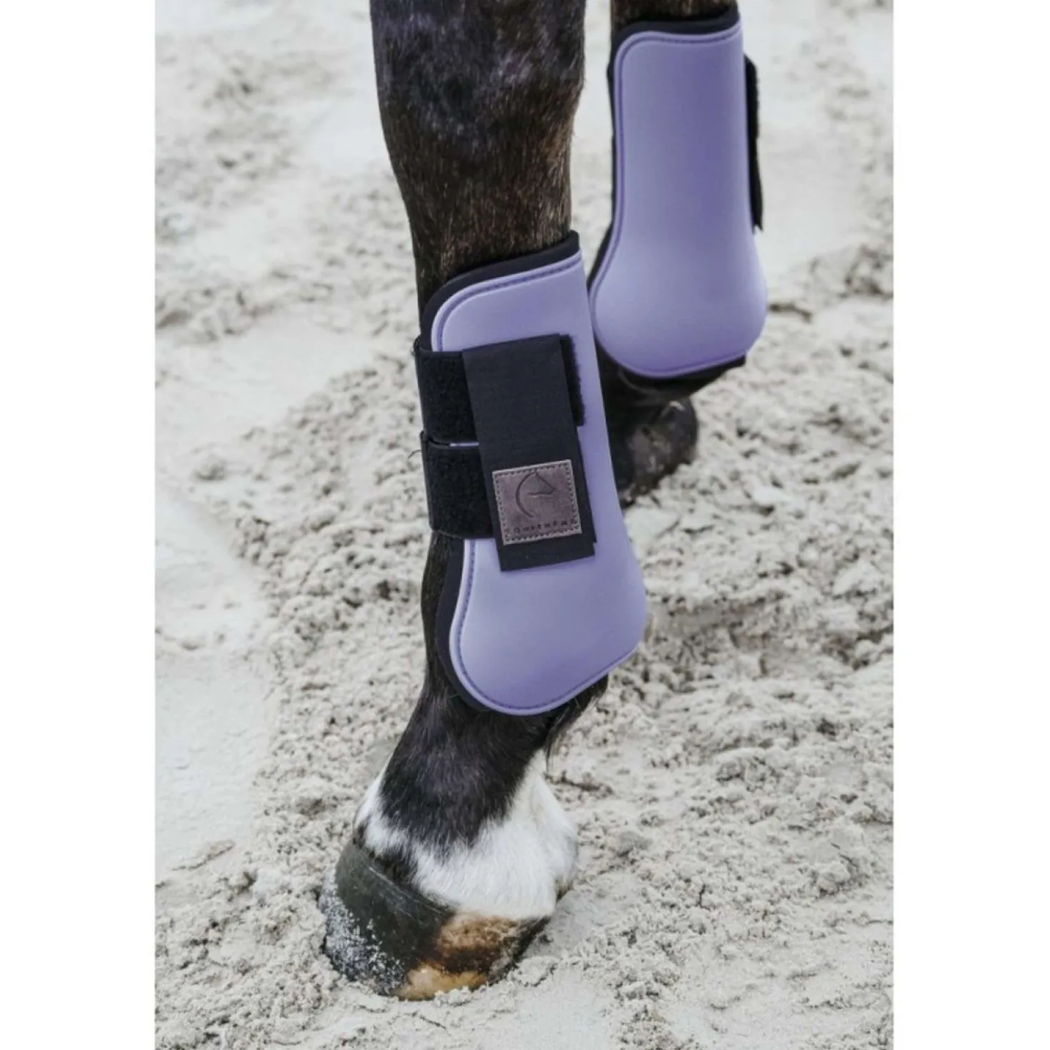 EQUITHÈME Peesbeschermers Lila