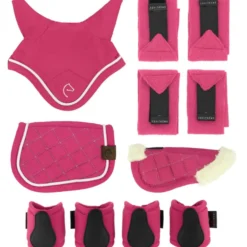 EQUITHÈME Pony Academy Accesoire Set Mini Roze
