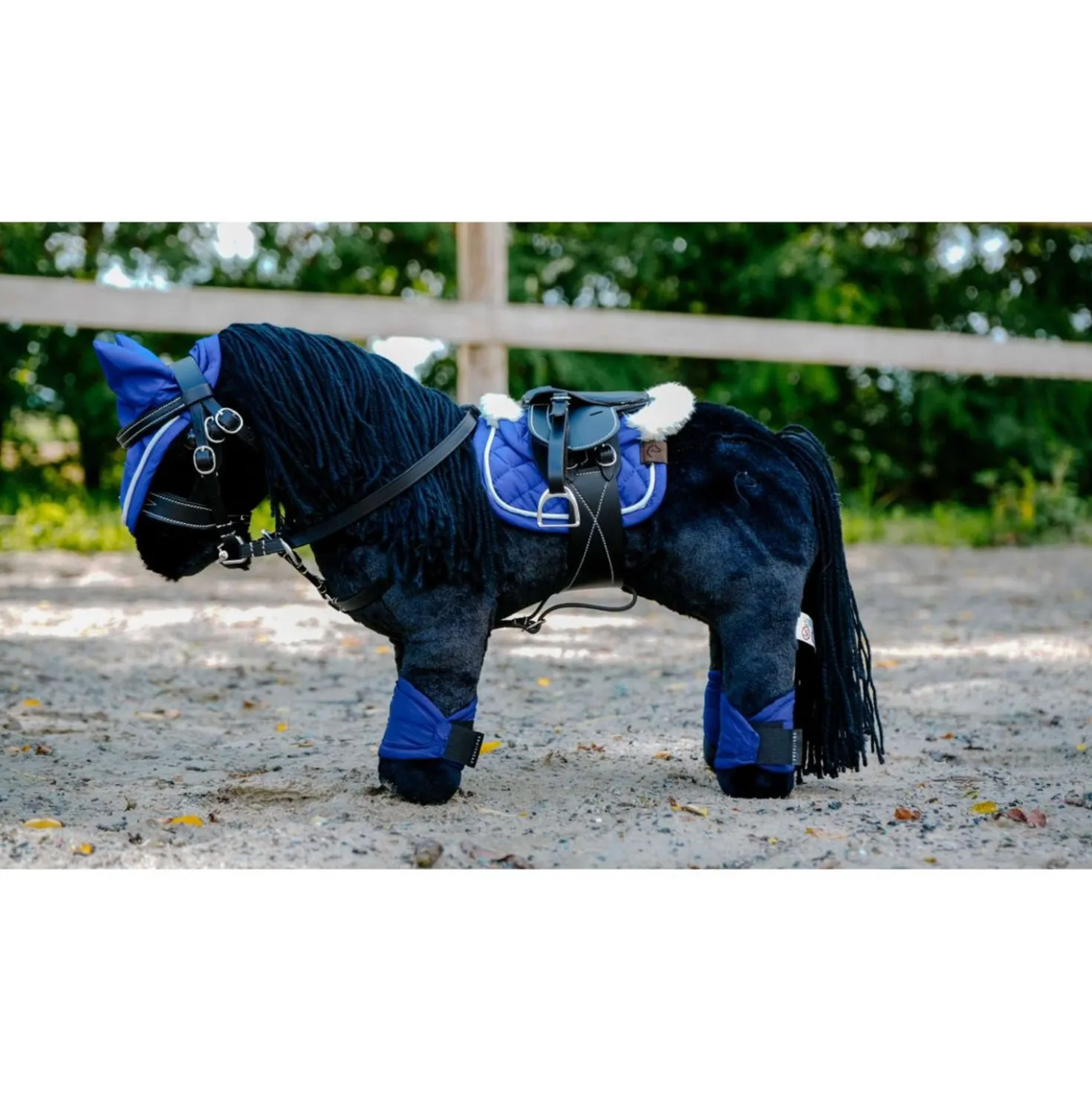 EQUITHÈME Pony Academy Eclair
