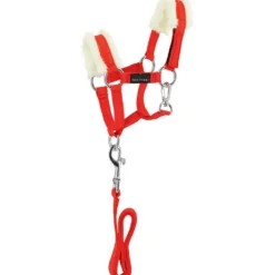 EQUITHÈME Pony Academy Halsterset Rood
