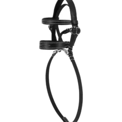 EQUITHÈME Pony Academy Hoofdstel Zwart