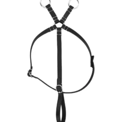 EQUITHÈME Pony Academy Martingaal Zwart