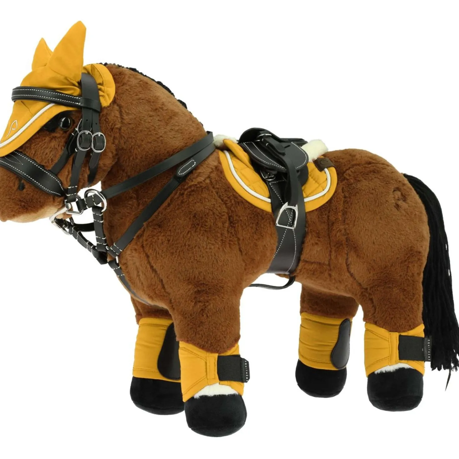 EQUITHÈME Pony Academy Prince