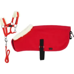 EQUITHÈME Pony Academy Showdeken Set Mini Rood